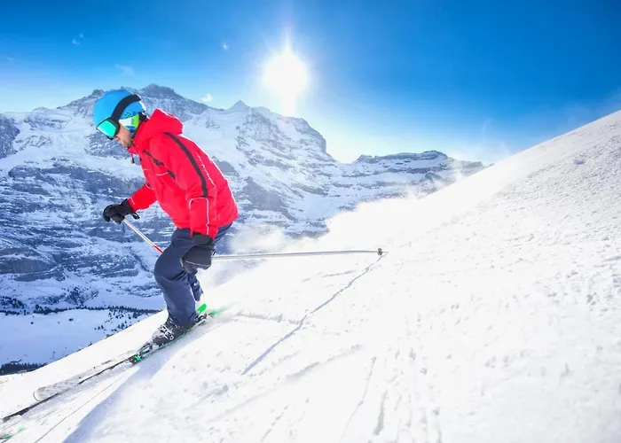 Allod Park Haus C 207 By Interhome Daire *