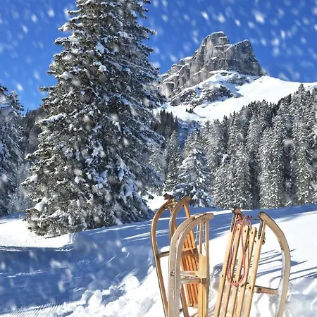 Allod Park Haus C 207 By Interhome Davos